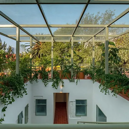 Nido Condesa-3