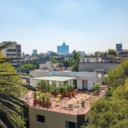 Nido Condesa-2